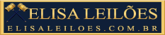 Elisa Leilões